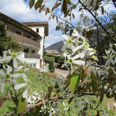 Natur Pur Hotel Unterpichl San Nicolò d'San Nicolò d'Ultimo Eksteriør billede
